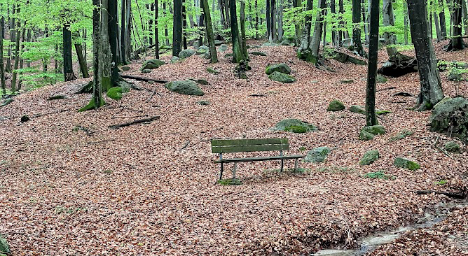 Blue Room Psychology